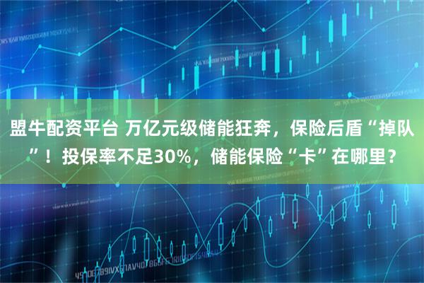 盟牛配资平台 万亿元级储能狂奔，保险后盾“掉队”！投保率不足30%，储能保险“卡”在哪里？